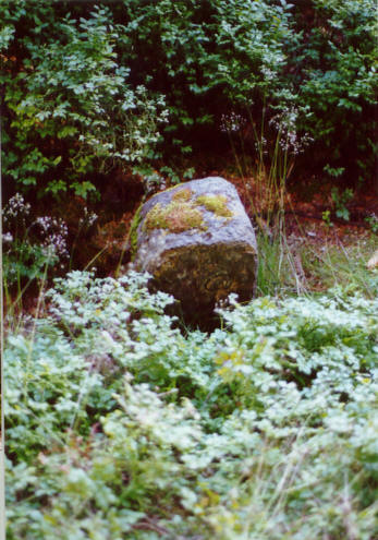 Historischer_Grenzstein