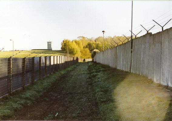 H�tensleben_Hundelauf